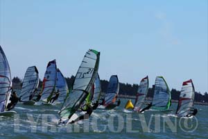 Calcup 5 061