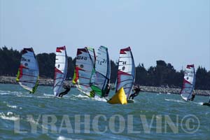 Calcup 5 142