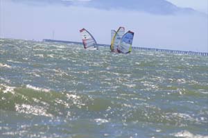 Calcup round 4 046