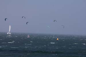 IMG_7386