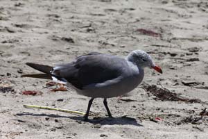 IMG_8453