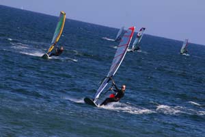 IMG_8528