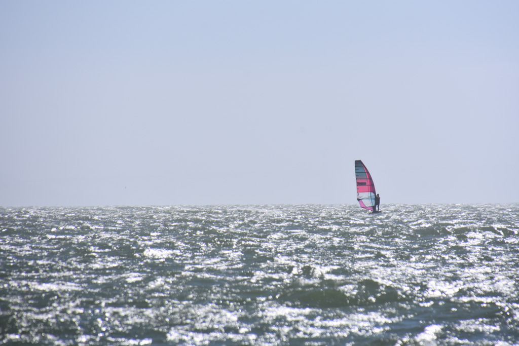 DSC_1279