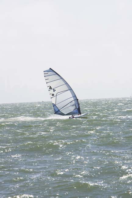 CalCup055