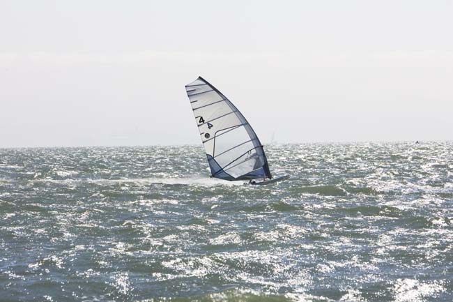 CalCup103