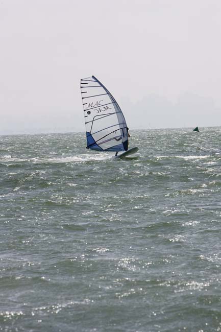 CalCup340