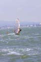 CalCup094