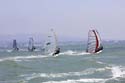 CalCup184