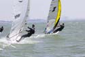 CalCup319